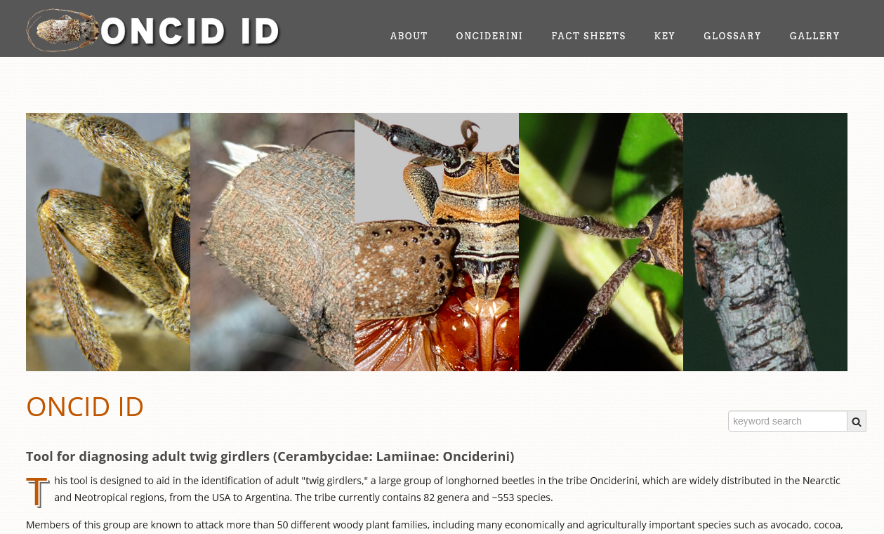 Release of Oncid ID to ITP’s dynamic platform